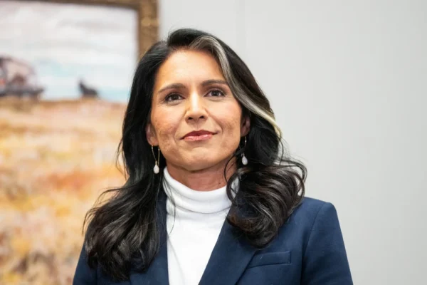 Tulsi Gabbard’s flip-flop on surveillance program will be under the spotlight at hearing for DNI job mr fog disposable vape