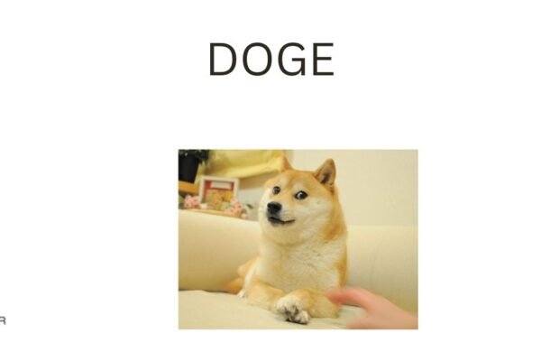 DOGE
