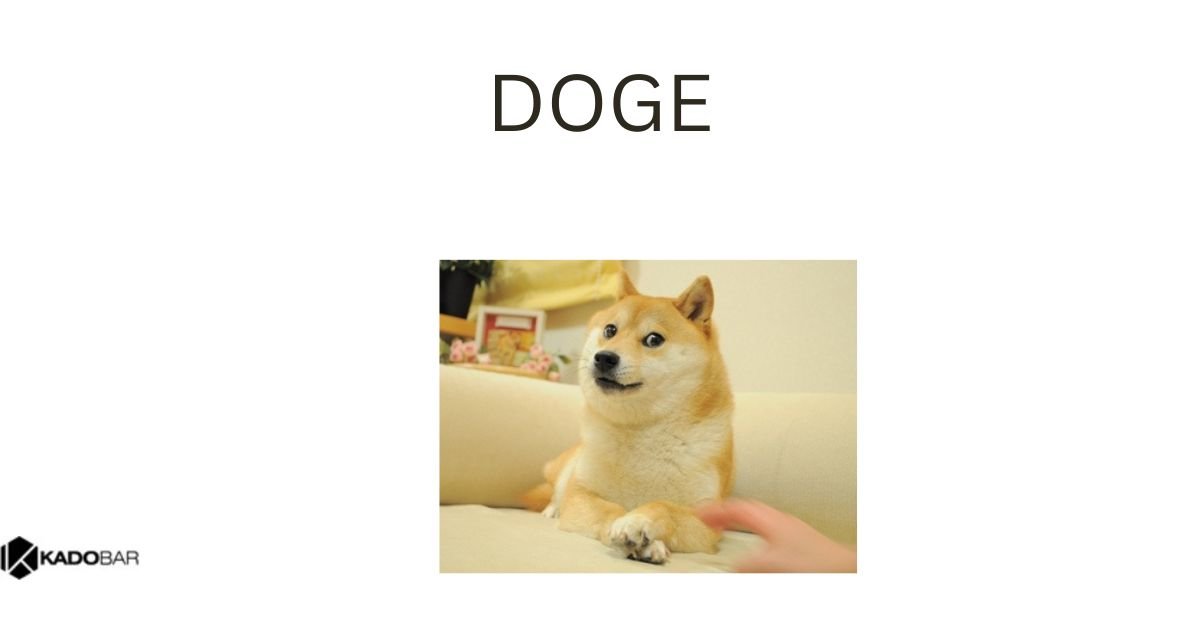 DOGE