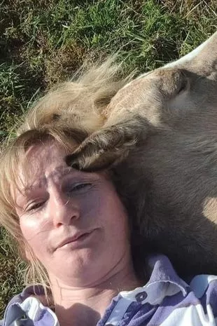 Two men have been taken into custody suspected of the murder of Leanne Williams, 47, after her lifeless body was found with "significant injuries" at her home in Townhill, Swansea.